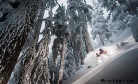 Whistler
